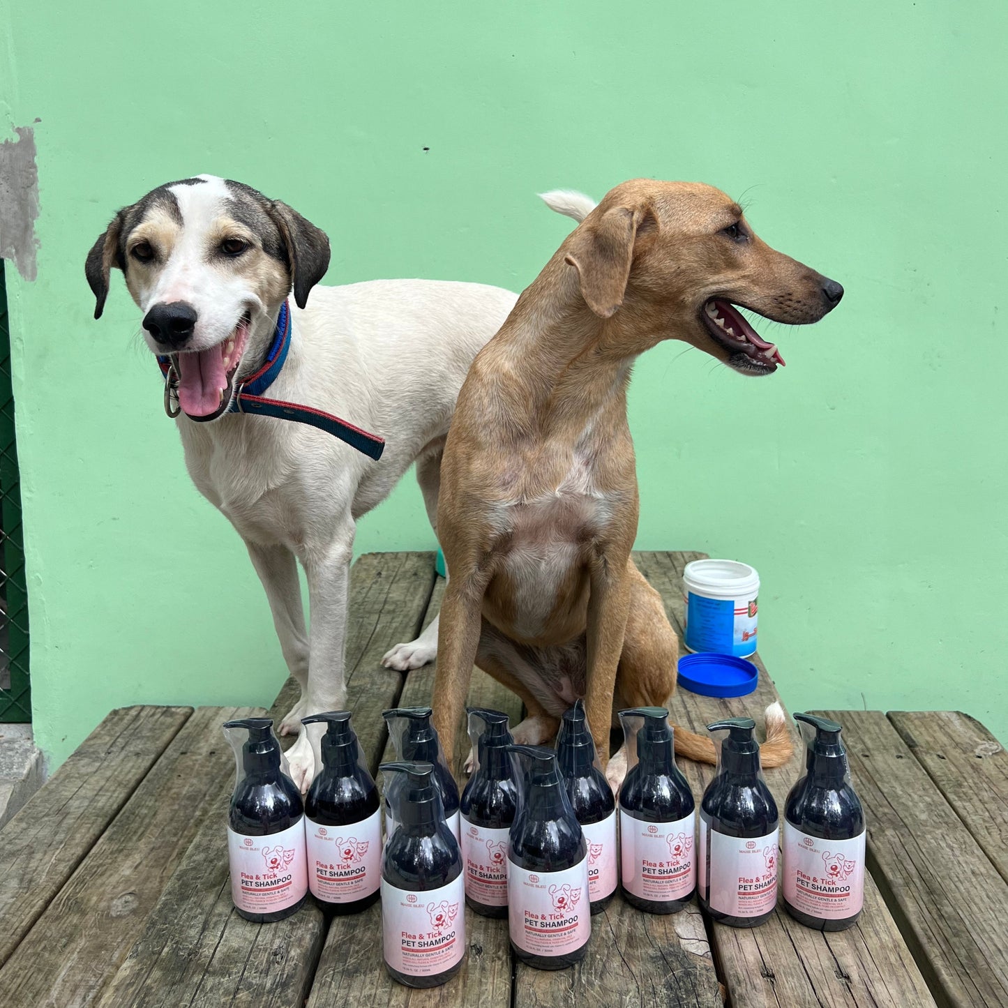 Flea & Tick Pet Shampoo